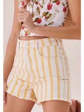 NWT Anthropologie Pilcro Striped Denim Shorts
